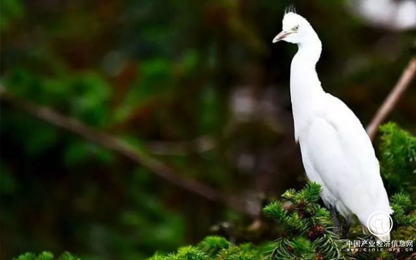 昌寧縣，一座你來了就不想回去的小城