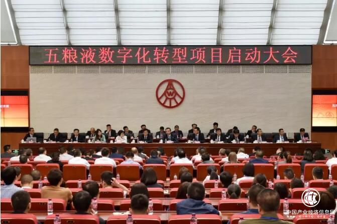 熱點(diǎn)丨五糧液+IBM，兩個世界“500強(qiáng)”謀劃了4個月，孵化了什么？