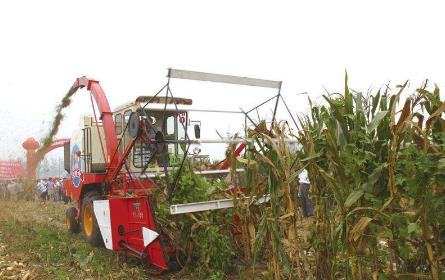 農(nóng)業(yè)農(nóng)村部大力實施鄉(xiāng)村就業(yè)創(chuàng)業(yè)促進(jìn)行動