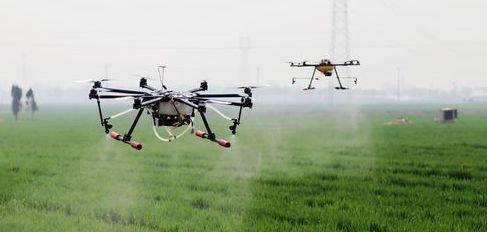 新農(nóng)村、新農(nóng)民、新農(nóng)業(yè)，廣大農(nóng)村天地別有一番新氣象