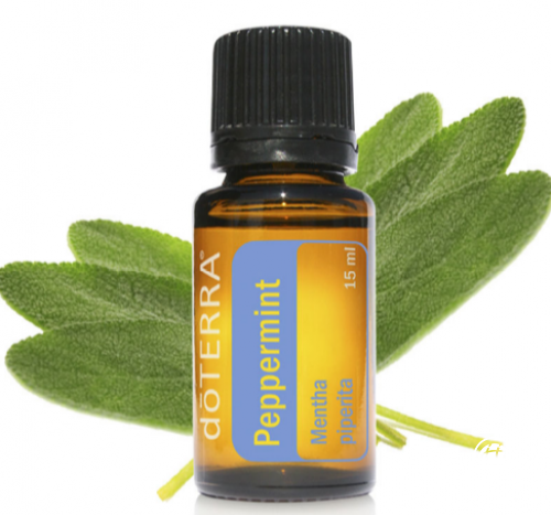 出游帶上doterra多特瑞精油，盡情欣賞初夏大好風(fēng)光