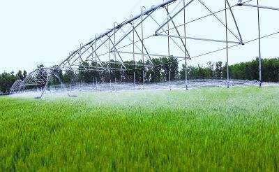 農(nóng)業(yè)調(diào)整重在優(yōu)化經(jīng)營結(jié)構(gòu)，全面提高農(nóng)業(yè)供給質(zhì)量