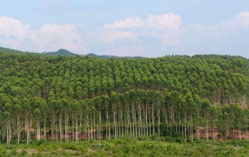 鄉(xiāng)村振興戰(zhàn)略為建立新型城鄉(xiāng)關系和農業(yè)農村健康發(fā)展指明了道路 