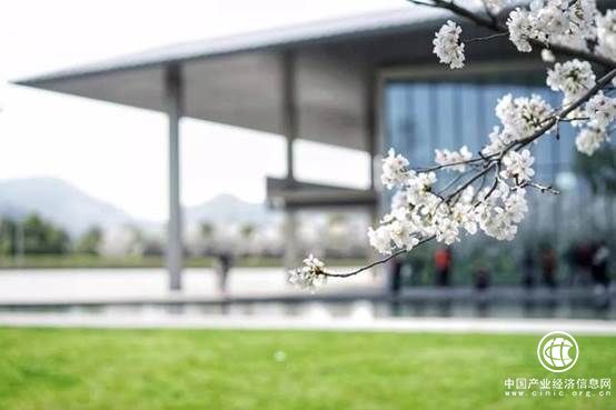 杭州國際藝術(shù)教育最牛導(dǎo)師與你相約，萬琨國際名校Offer等你拿！