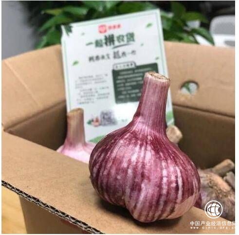 為何全國滯銷的大蒜，能在拼多多上一天賣出4.7萬單？