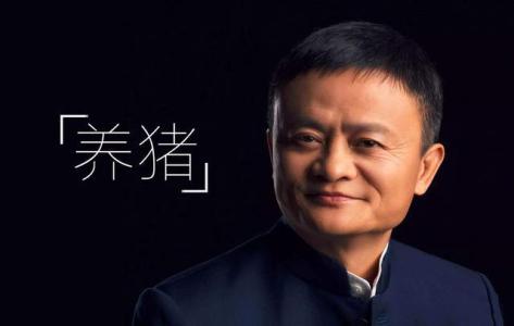 馬云計(jì)劃用AI養(yǎng)豬，為每一頭豬建立體檢檔案