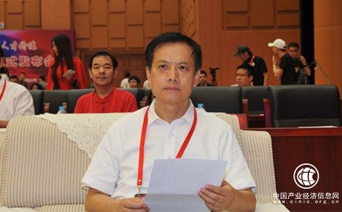 中國報(bào)業(yè)協(xié)會(huì)副秘書長、中國報(bào)業(yè)雜志社長、總編輯胡線勤