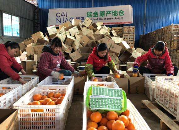 山西發(fā)布運(yùn)城面粉等14個(gè)農(nóng)產(chǎn)品區(qū)域公用品牌 助力農(nóng)民“抱團(tuán)”闖市場(chǎng)