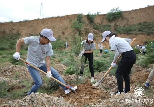 綠色出行｜持之以恒必有回響：看豐田十八年植樹防沙 卓眾汽車網