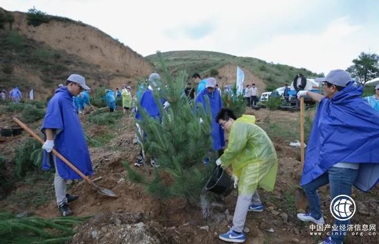 綠色出行｜持之以恒必有回響：看豐田十八年植樹防沙 卓眾汽車網