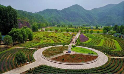 農(nóng)業(yè)景觀謀發(fā)展，北京密云人間花海水上娛樂王國(guó)受關(guān)注