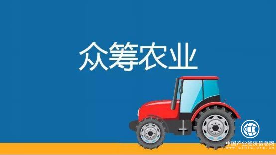 樂(lè)農(nóng)之家：農(nóng)業(yè)眾籌是一條會(huì)賺錢的“鲇魚(yú)” 攪活了互聯(lián)網(wǎng)金融