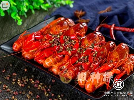 蝦神探，獨(dú)特的養(yǎng)殖技術(shù)消除龍蝦淡季問題