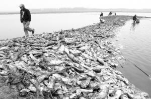 智慧農(nóng)業(yè)物聯(lián)網(wǎng)新品，卓振智能水產(chǎn)養(yǎng)殖增氧機控制器