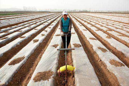 中國修改土地管理法 在這幾方面保障農(nóng)民權(quán)益