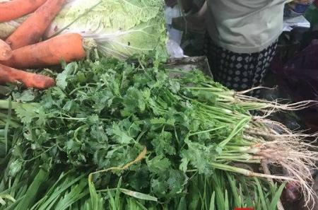 暴雨天氣“后遺癥”，香菜比肉貴最高賣到60元/斤
