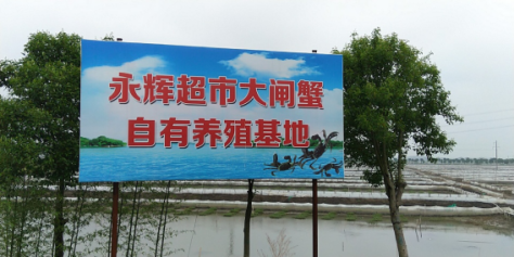 食蟹季來臨 永輝源頭直采確保大閘蟹質(zhì)優(yōu)價美