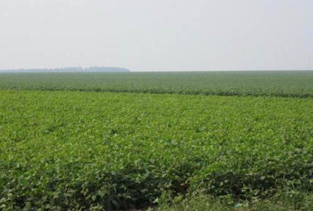 內(nèi)蒙古下達(dá)1334萬元支持“優(yōu)質(zhì)糧食工程”