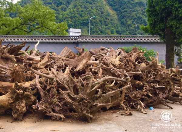 微拍堂匠人故事 | 有根雕的地方就是家，他在異鄉(xiāng)“落葉歸根”