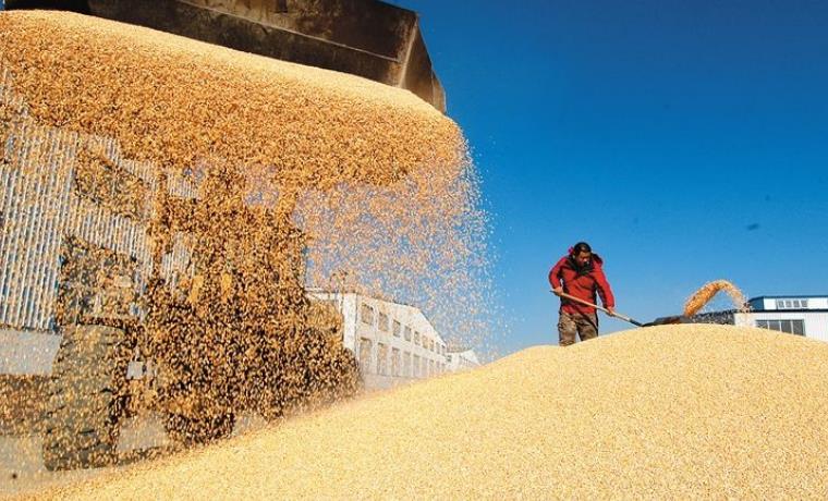 改革開放40年我國(guó)糧食產(chǎn)業(yè)改革成就鼓舞人心