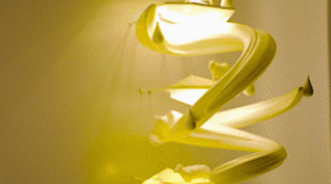 3- 櫥窗圖片 - gif4.gif