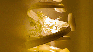 3- 櫥窗圖片 - gif5.gif