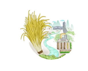 打造農(nóng)產(chǎn)品品牌，對接廣域市場