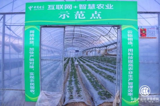 中國電信在大涼山的精準(zhǔn)扶貧之路：助力涼山產(chǎn)業(yè)轉(zhuǎn)型升級(jí)