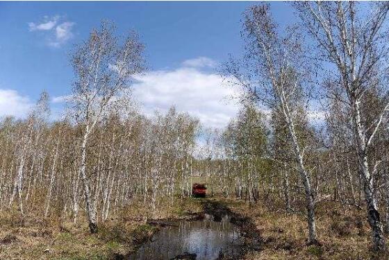 內(nèi)蒙古天然林資源保護(hù)實(shí)現(xiàn)全覆蓋