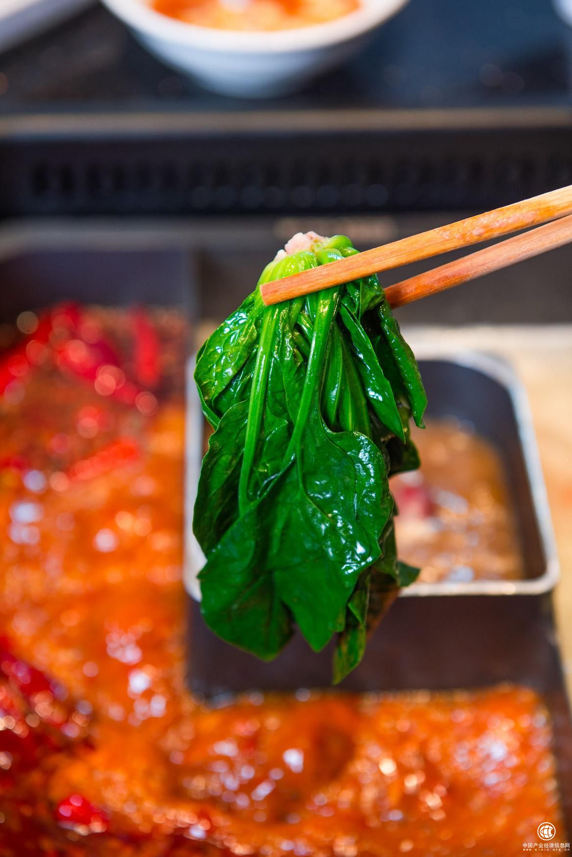 帶根吃的笨菠菜，12月1日，來巴奴嘗第一口鮮!