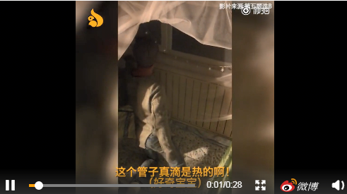 南方人第一次見暖氣反應奇特，蘇寧采暖放心服務成用戶首選