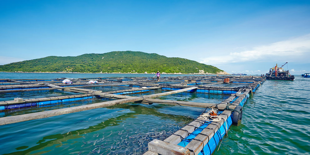 上半年海洋生產(chǎn)總值4.9萬億元，同比增長(zhǎng)5.6%