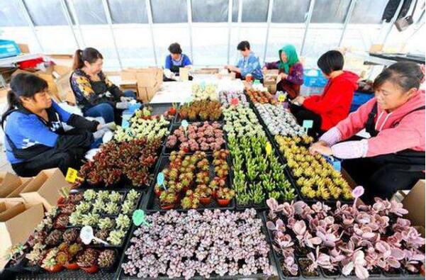 2021年內(nèi)蒙古脫貧群眾人均純收入超1.4萬(wàn)元