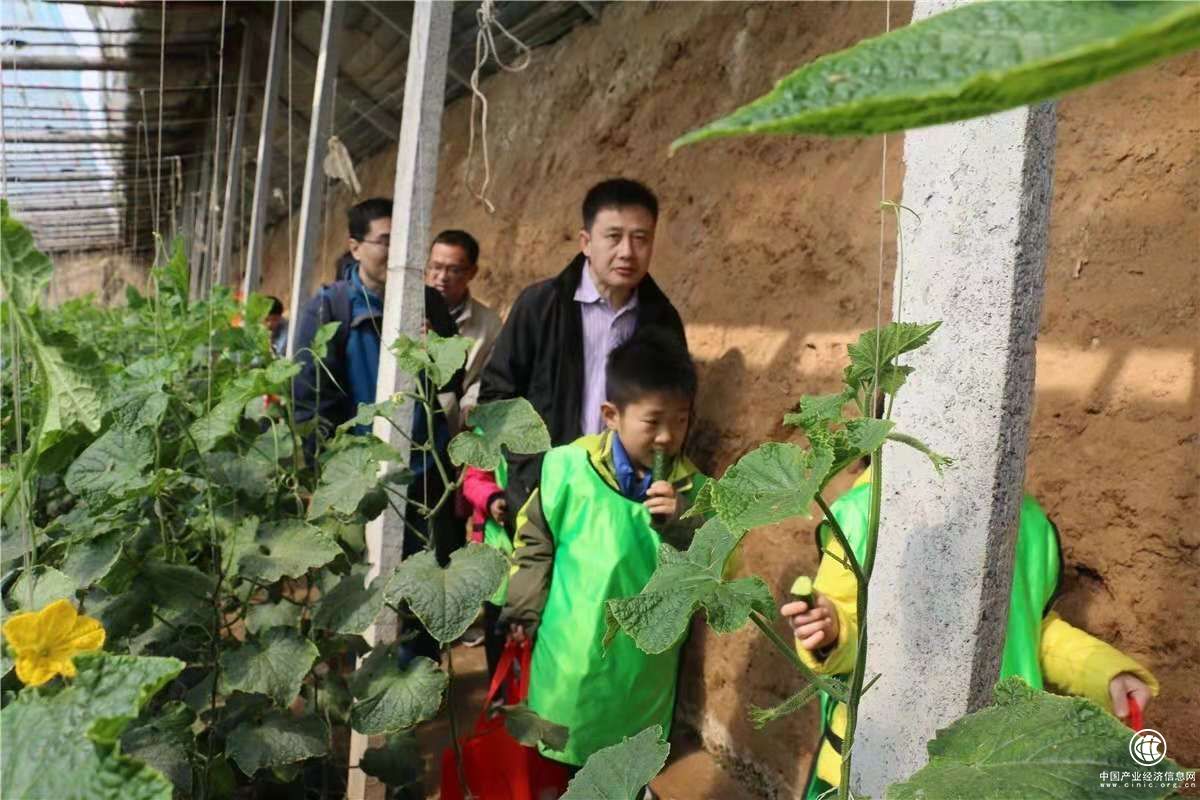 云ERP助力第七屆黃瓜文化節(jié)，推動(dòng)農(nóng)貿(mào)市場(chǎng)智慧轉(zhuǎn)型！