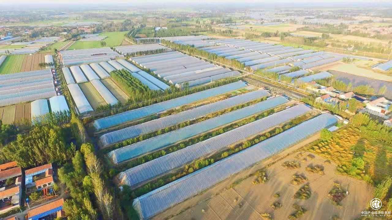 云ERP助力第七屆黃瓜文化節(jié)，推動(dòng)農(nóng)貿(mào)市場(chǎng)智慧轉(zhuǎn)型！