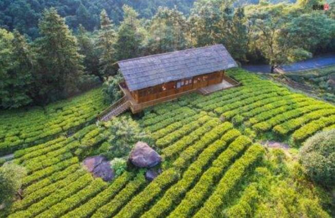 經(jīng)濟(jì)社會政策如何應(yīng)對長壽時代？