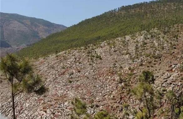 我國石漠化擴(kuò)展趨勢(shì)得到有效遏制