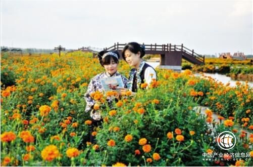 堅(jiān)守本源 農(nóng)業(yè)銀行深耕“三農(nóng)”經(jīng)濟(jì)