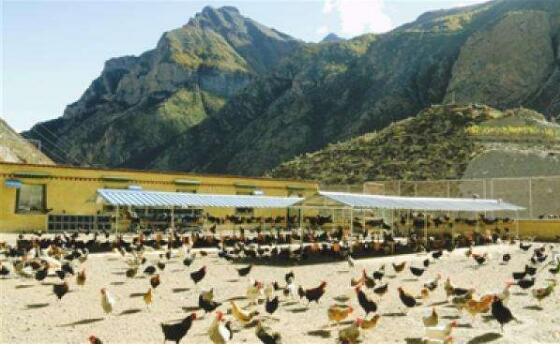 農(nóng)發(fā)行累計向西藏放貸780億元 重點(diǎn)支持脫貧攻堅