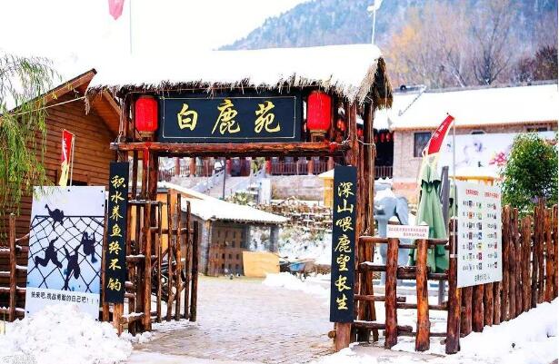 “打卡式”旅游已降溫？文化IP成旅游產(chǎn)業(yè)增長新爆點