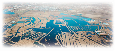 “雄安大計(jì)”躍然紙上“未來之城”呼之欲出