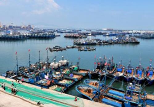 福建下達(dá)4.6億元資金提升漁業(yè)現(xiàn)代化水平