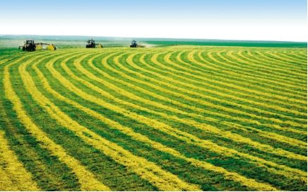 全國(guó)首個(gè)省級(jí)鄉(xiāng)村振興標(biāo)準(zhǔn)體系建設(shè)五年規(guī)劃印發(fā)