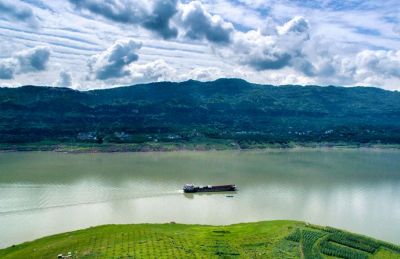 長江流域水生生物多樣性持續(xù)恢復