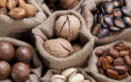 蛻變前行，旭東食品匠心開拓西瓜子2.0時(shí)代