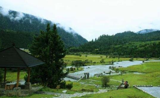 廣東發(fā)布2023年第2號(hào)總林長(zhǎng)令 用硬措施保護(hù)綠美廣東生態(tài)建設(shè)成果