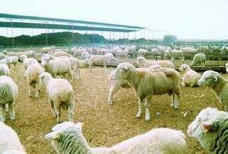 內(nèi)蒙古包頭、鄂爾多斯獲評2022年度產(chǎn)業(yè)轉(zhuǎn)型升級示范區(qū)建設(shè)評估優(yōu)秀城市