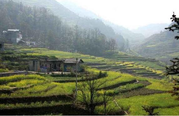 貴州2018年18個貧困縣(市、區(qū))實(shí)現(xiàn)脫貧摘帽