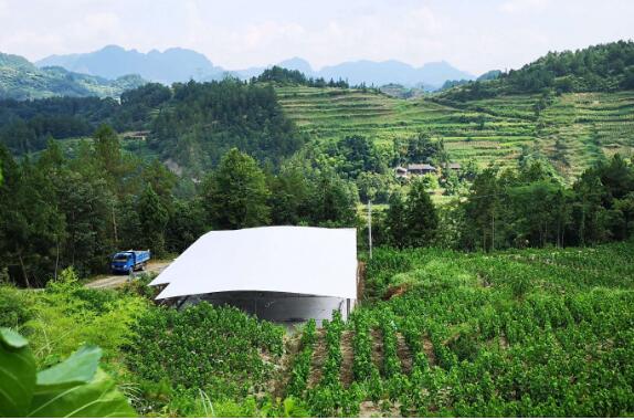 “咬”定深貧勁不松——重慶黔江攻堅深度貧困見聞