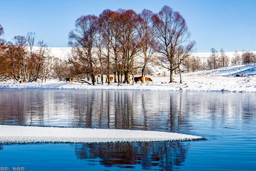 內(nèi)蒙古阿爾山：四季都很美 旅游火起來(lái)